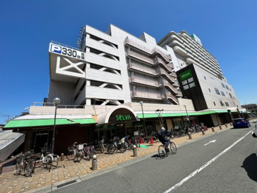 セルバ 甲南山手の画像3