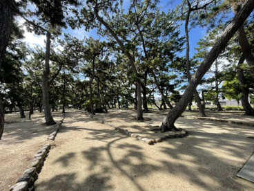 芦屋公園の画像3