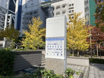 保育園Kanoaの画像3