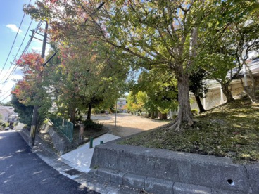 赤塚山公園の画像1