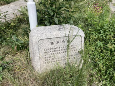 高木公園の画像3