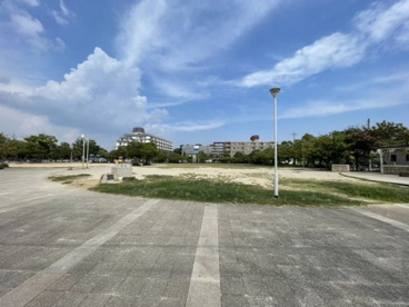 高木公園の画像4