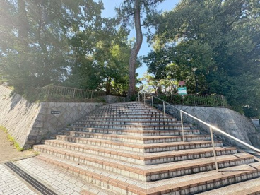 深田池公園の画像3