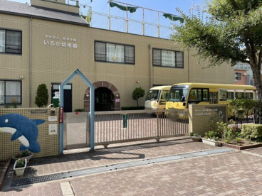 いるか幼稚園の画像4