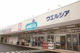 ウエルシア八潮大曽根店