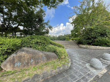仲ノ池緑地の画像2