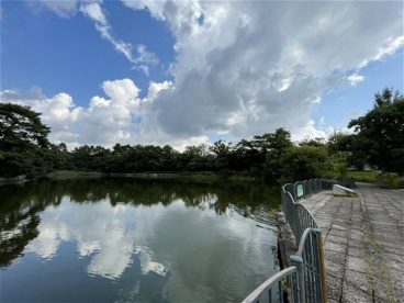 仲ノ池緑地の画像3