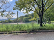 高座山公園の画像