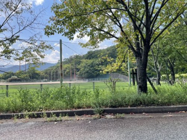 高座山公園の画像1