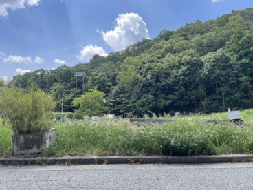高座山公園の画像2