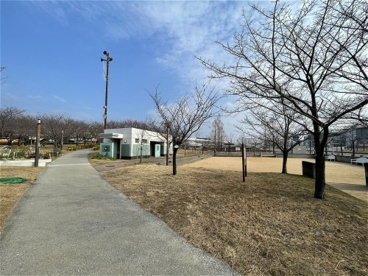 西郷川河口公園の画像3