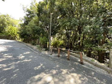 山王緑地の画像3