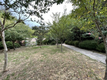 甲陽園目神山緑地の画像2