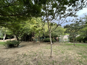 甲陽園目神山緑地の画像3