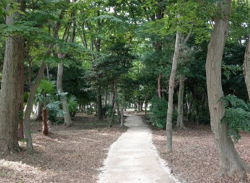 中野久木散策の森