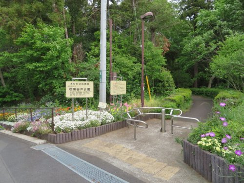 松葉公園
