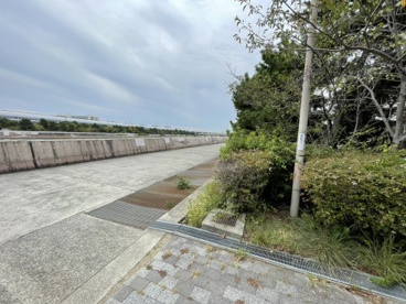 東海岸緑地の画像1