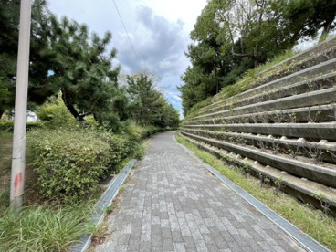 東海岸緑地の画像2