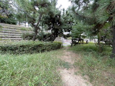 東海岸緑地の画像3