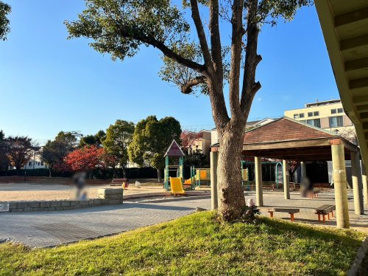 本庄中央公園の画像1