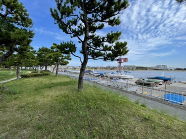 芦屋海浜公園の画像1