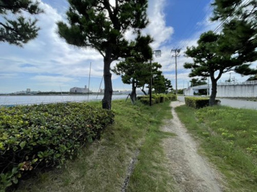 芦屋海浜公園の画像2