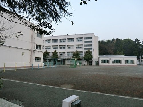 岡津小学校
