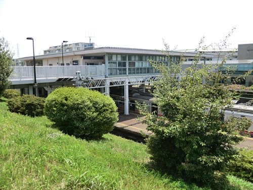 いずみ野