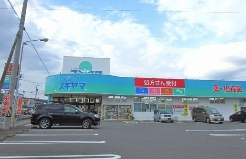 ドラッグスギヤマ 土岐店