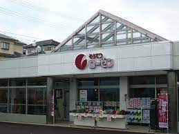 そうてつローゼン杉久保店