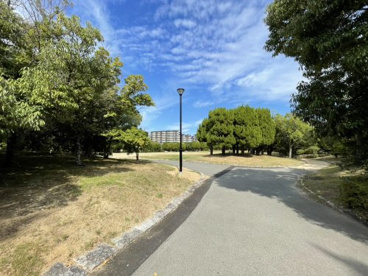 東浜公園の画像1
