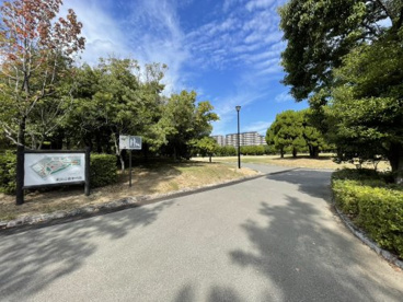 東浜公園の画像3