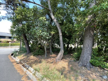上甲東園1号緑地の画像2