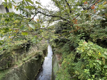 朝日ケ丘緑地の画像1