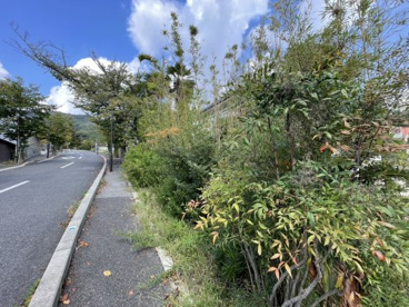 朝日ケ丘緑地の画像2