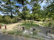 広田山公園の画像