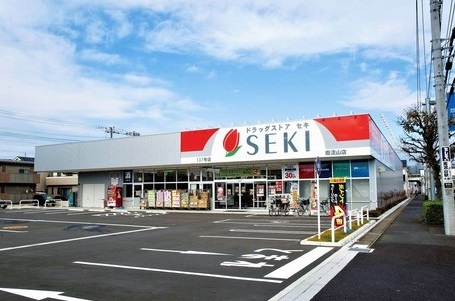 ドラッグストア セキ 青井店