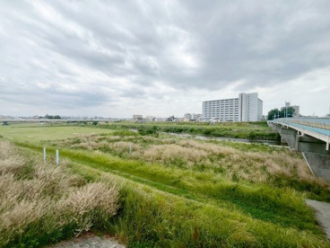 藻川河川敷緑地の画像1