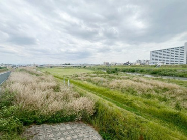 藻川河川敷緑地の画像3
