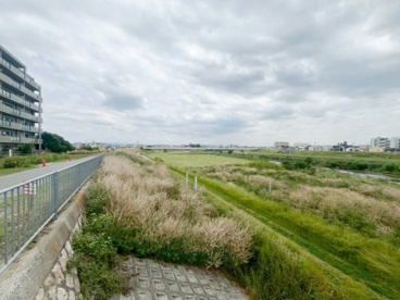 藻川河川敷緑地の画像4