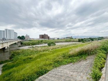 藻川河川敷緑地の画像5