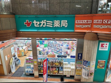 ココカラファインドラッグセガミ塚口店の画像1