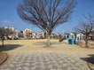 東富松北公園の画像