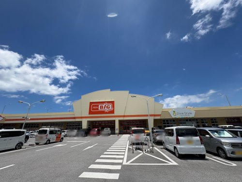 ザ・ビッグエクスプレス はにんす宜野湾店