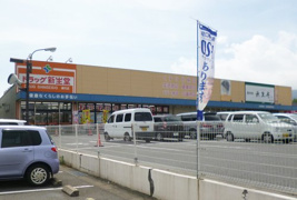 ドラッグ新生堂 横代店