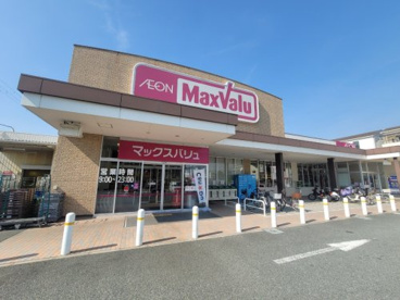 MaxValu(マックスバリュ) 東難波店の画像1