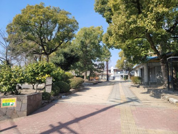 芦原公園の画像1