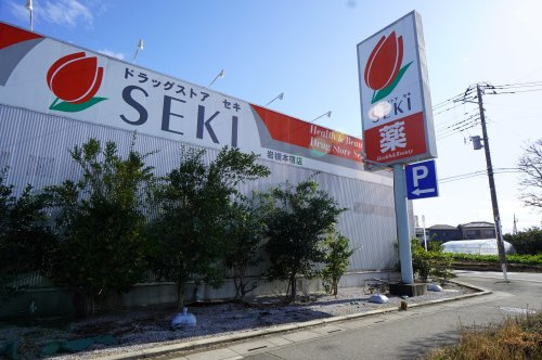 ドラッグストア セキ 岩槻本宿店