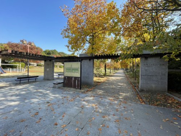 六甲アイランド公園の画像1