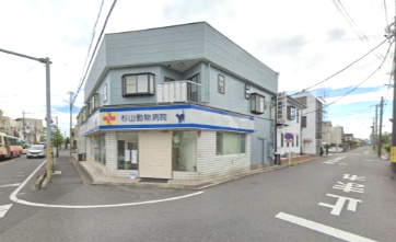 杉山動物病院